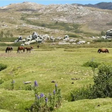 Cosy En Alta Rocca