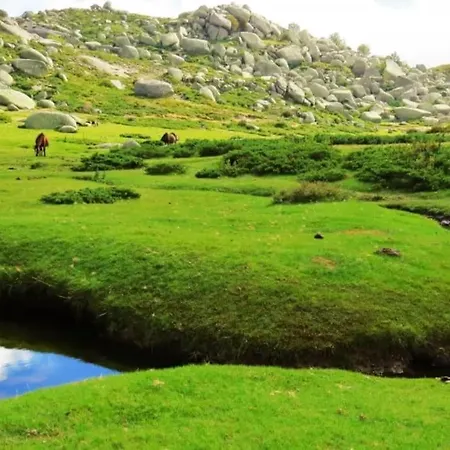 Cosy En Alta Rocca *